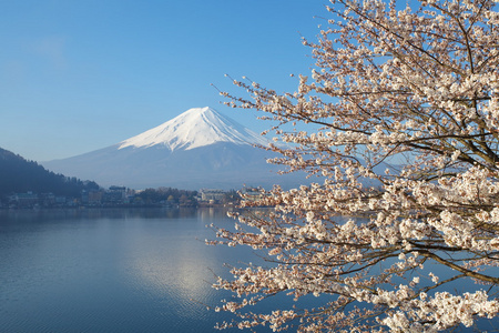 山富士在冬天