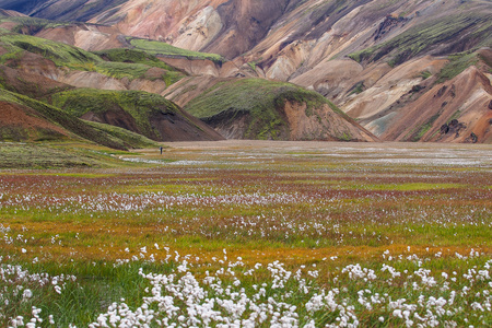 landmannalaugar fjallabak 性质