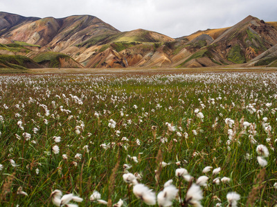 landmannalaugar fjallabak 性质