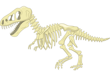 恐龙骨架图片