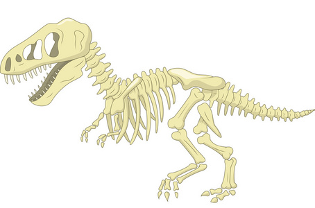 恐龙骨架