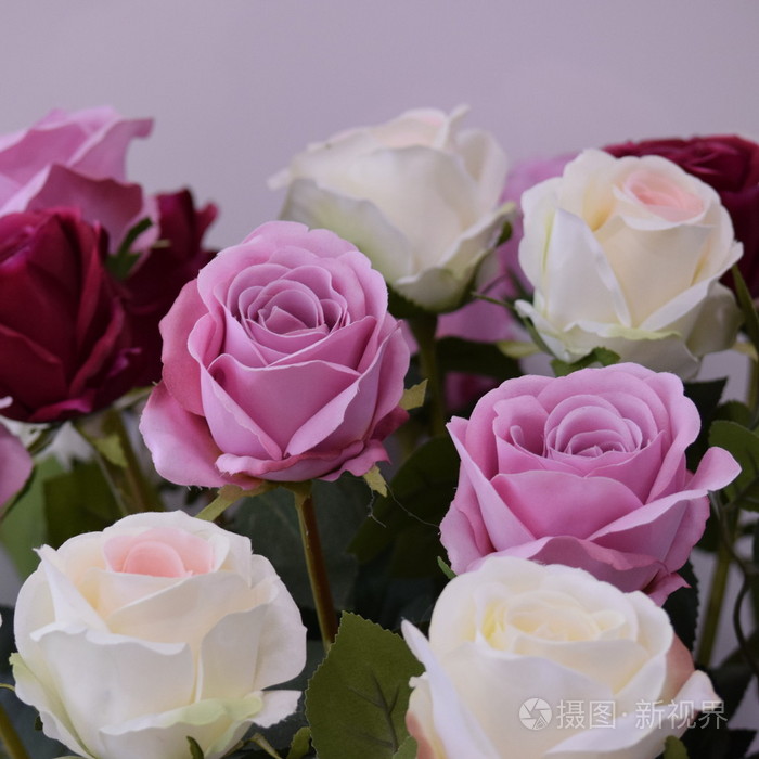 3840*3840px无水印下载免费10次/天下载小样发票合同问题/举报玫瑰花