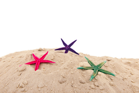 在海滩上的 starfishes