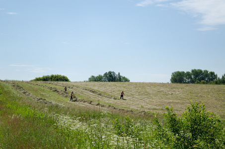男子半人工干草在农村领域