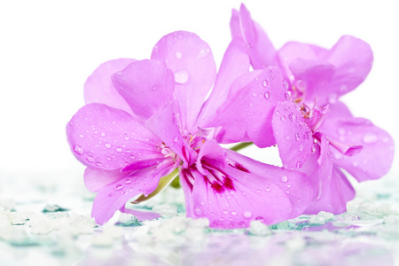 spa 石头和粉红色的花