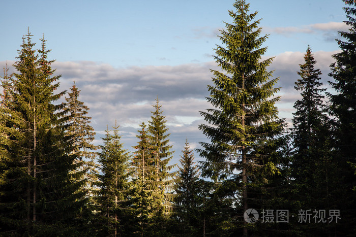 夏季的一天，在喀尔巴阡山