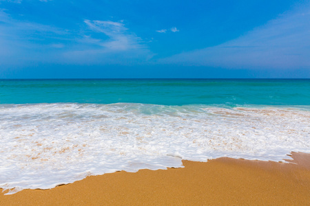 海滩和热带海