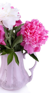 美丽粉红和白色牡丹在花瓶里，白色衬底上分离