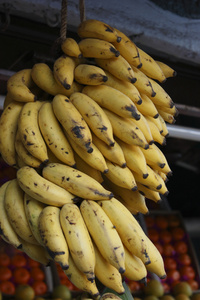 香蕉或克拉用于印度糖果和甜点