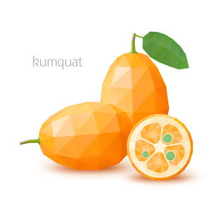 多边形的果实 — — 金桔.矢量图照片