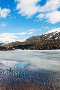 冰冻的湖山景观
