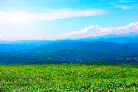 草甸和山