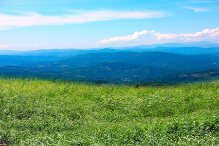 草甸和山