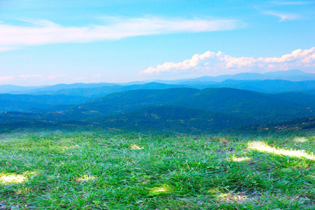 草甸和山