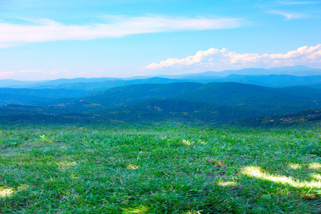 草甸和山