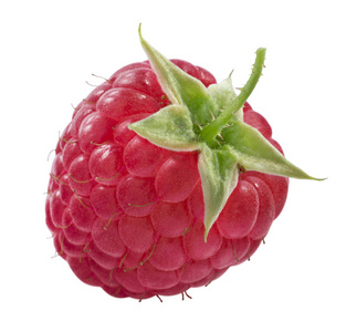 孤立的树莓图片