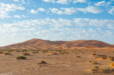 撒哈拉沙漠景观