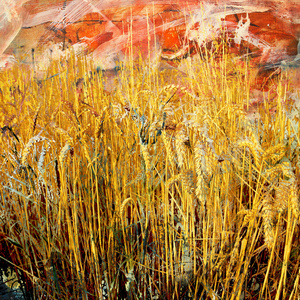 小麦抽象绘画的领域