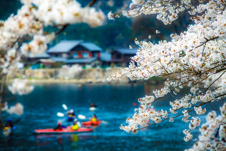 樱花季节在德川崎日本