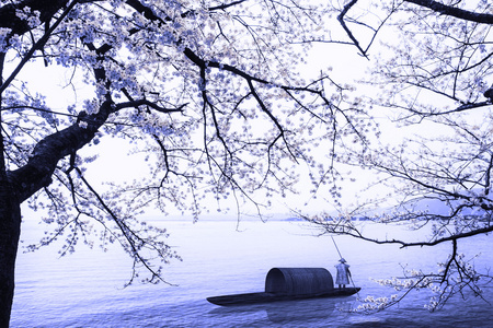 樱花季节在德川崎日本