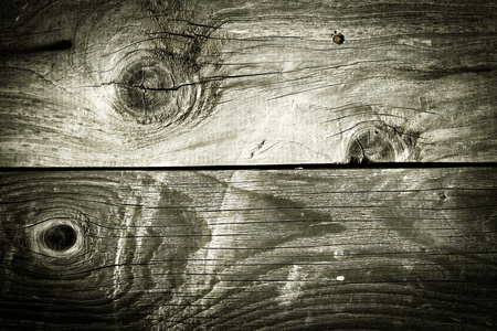 旧的木材纹理的自然形态