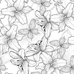 美丽单色，黑色和白色无缝背景与百合花和蝴蝶。手绘轮廓线