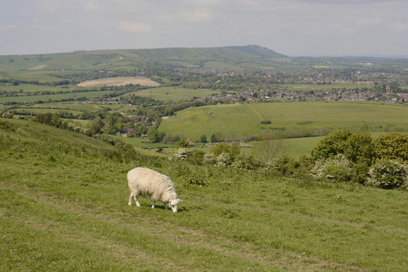 景观steyning。 苏塞克斯。 英格兰