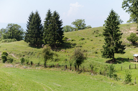 山风景