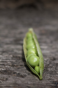 豆荚里的豌豆