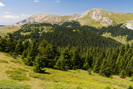 ilgaz 山脉，努土耳其