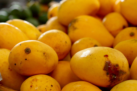 在市场成熟的芒果