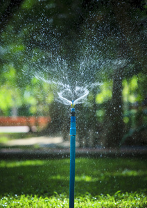 水的飞溅从清新的室外花园洒水使用