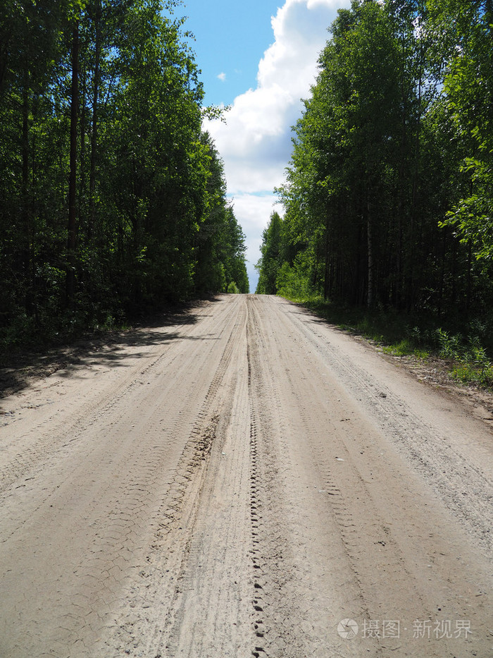 在树林里的土路
