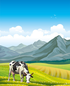 母牛和绿草地