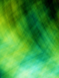 绿色抽象丛林 web 背景