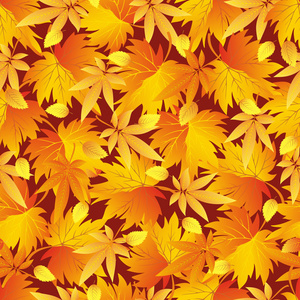 无缝模式与黄色，橙色，红色秋天的树叶
