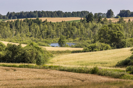 suwalki 景观公园波兰