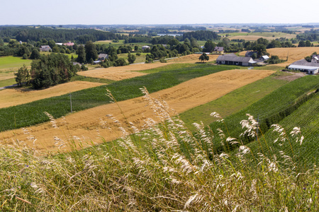 suwalki 景观公园波兰