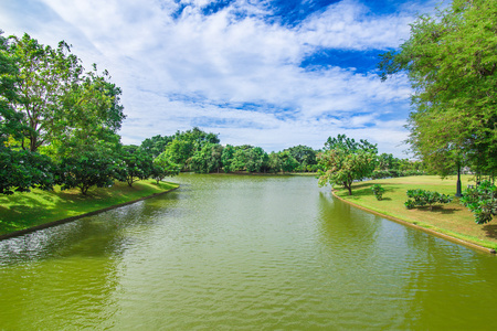 绿草地上夏日风景的风景