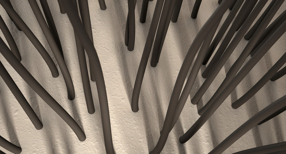 生发发根图片-生发发根素材-生发发根插画-摄图新视界