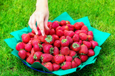 女性的手伸到菜站在 gr 的草莓