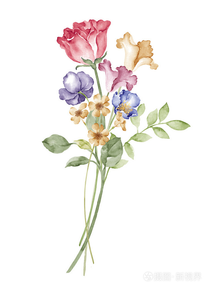 简单的白色背景的水彩插图花
