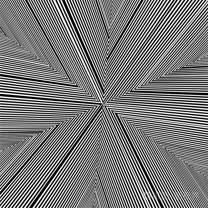 黑白相间的花纹矢量