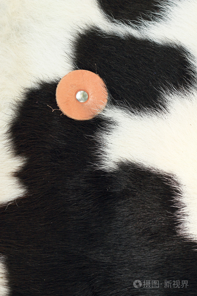 白色和黑色的背景牛毛皮