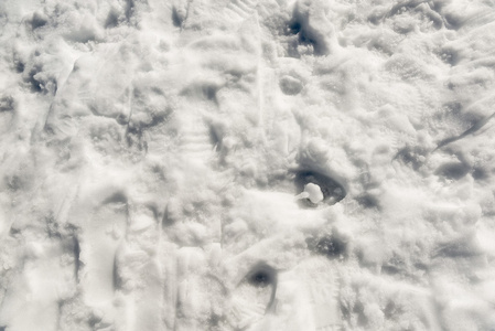 雪中到处都是脚印和脚印