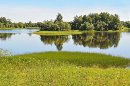 俄罗斯沃洛格达州 borodaevskoye 湖夏季