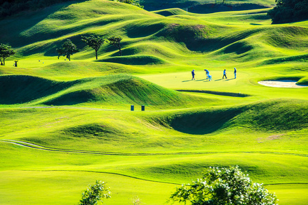 有很好的绿色高尔夫俱乐部