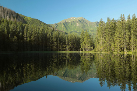 池塘里，越过 tatra 山脉