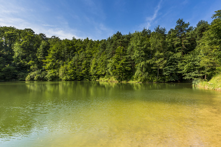 夏日风景湖泊和森林用镜子反射