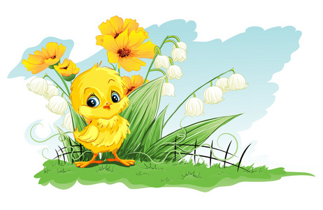 可爱的鸡,背景为黄色的花,百合的山谷照片